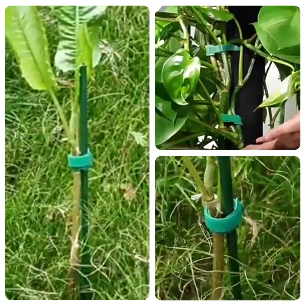 100 Stück Wiederverwendbare Ve – Velcro Hook Loop Bewertung und Preis